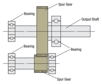 TS gear - spur