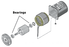 Bearings inside an AC motor